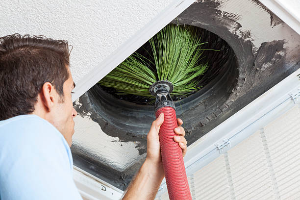 Air Duct Mold Removal in CA